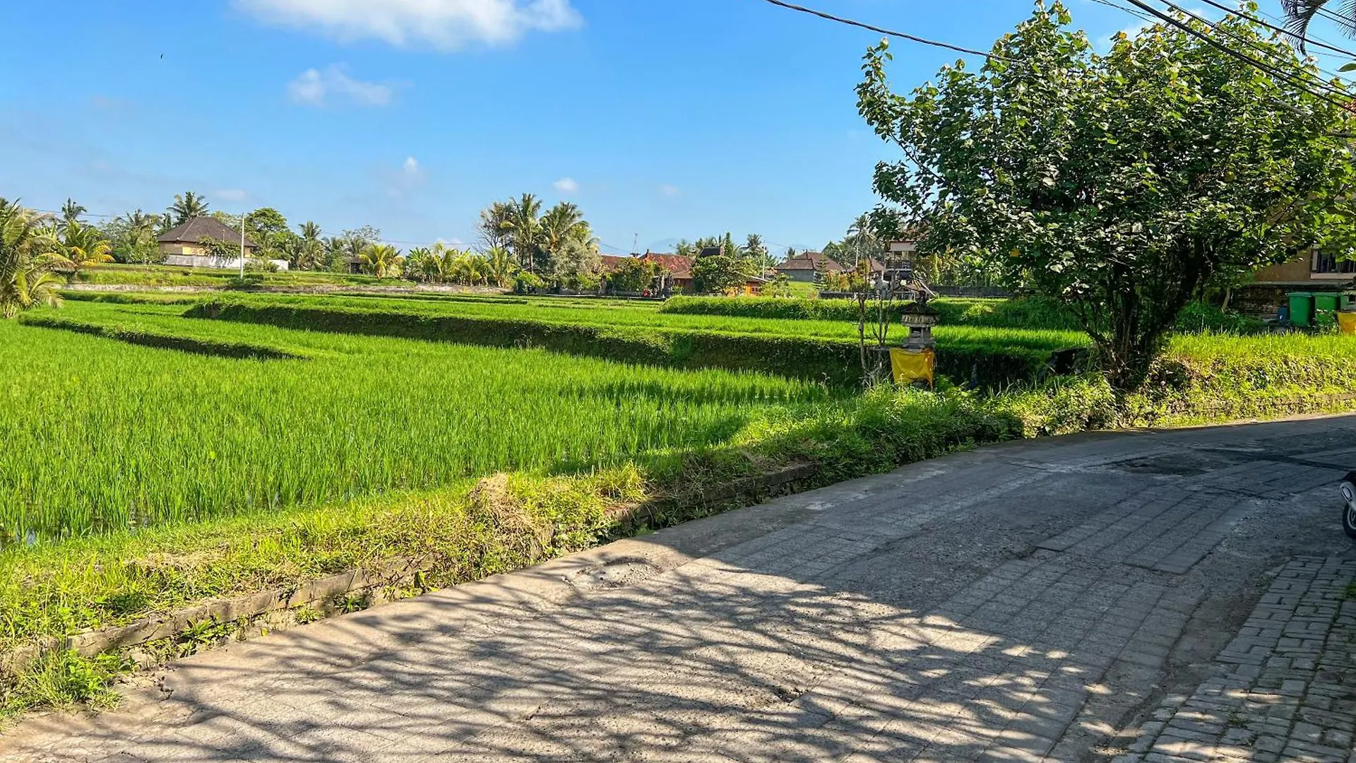Made Punias Jungle Paradise Ubud  Ubud (Bali)